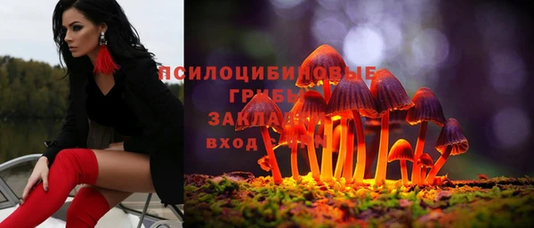 прущие грибы Вяземский