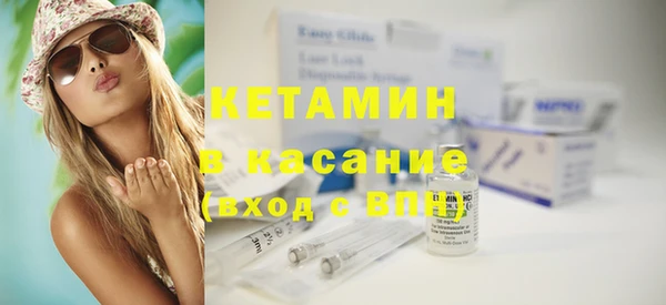 прущие грибы Вяземский