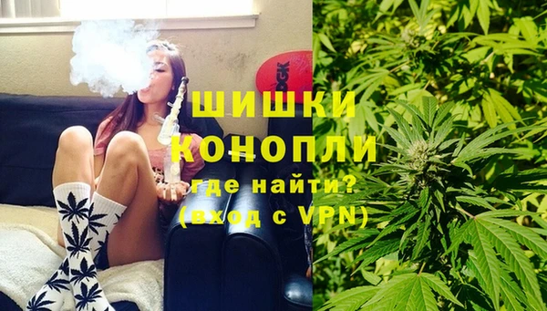 прущие грибы Вяземский