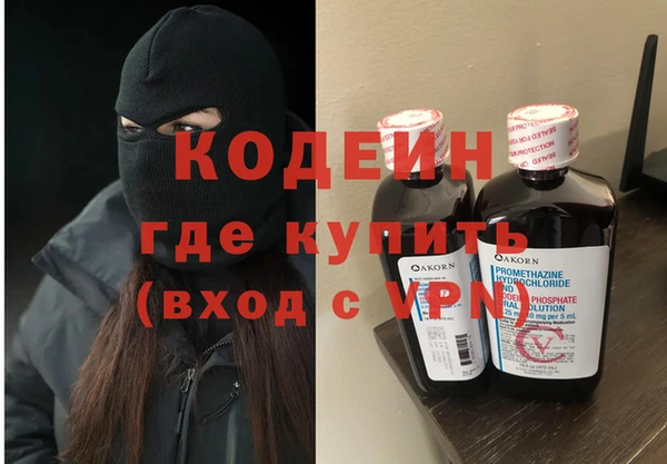 прущие грибы Вяземский
