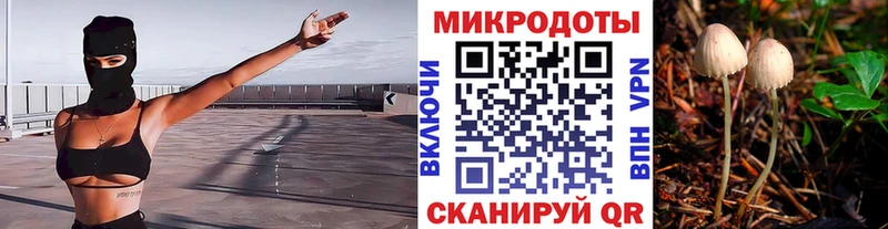 Галлюциногенные грибы Cubensis  Шадринск 